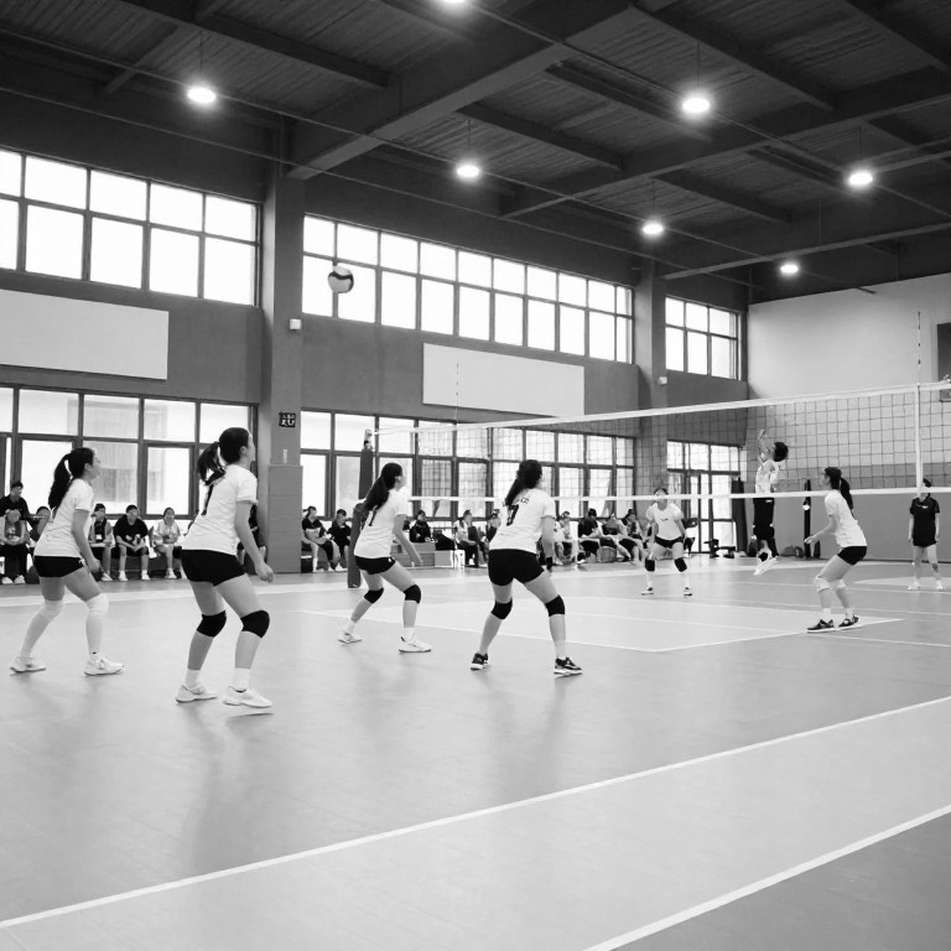 Phân tích bóng chuyền bằng dữ liệu: Kỷ luật của người cầm bút
