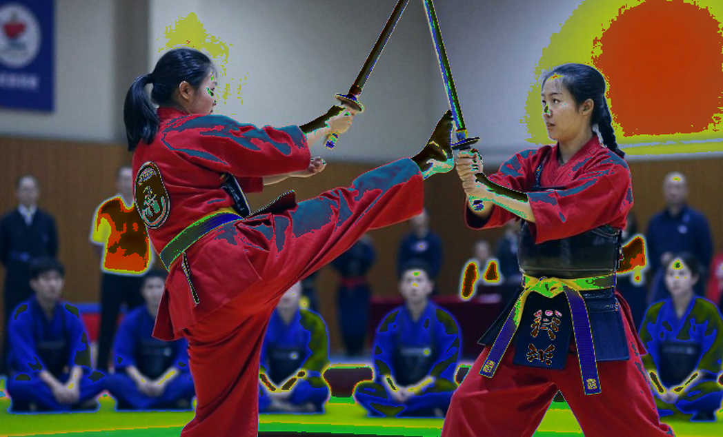 Vietnamese Martial Arts: One Word, Two Worlds, and a Data Void Nobody Wants to Fill Vietnamese Martial Arts: One Word, Two Worlds, and a Data Void Nobody Wants to Fill